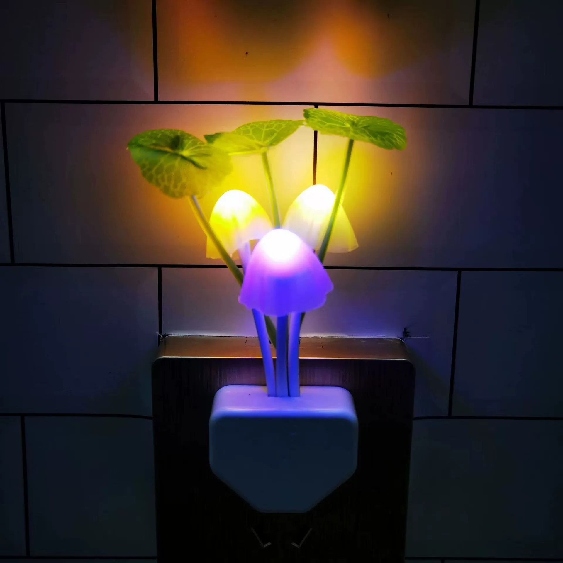 Energy-saving induction LED night light, lamp, sconce
