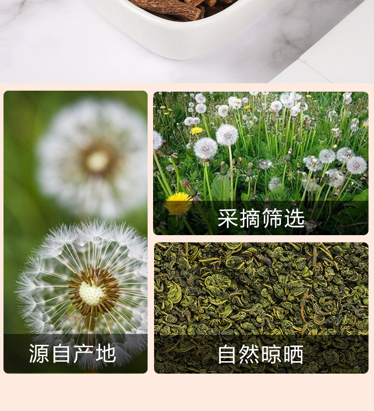 Dandelion Root Tea (Taraxacum officinale) — Roasted Pú Gōng Yīng Root, 170g Jar preparation