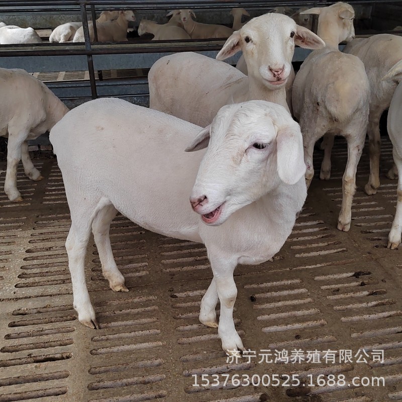 110541CDE91A98EF57E0742410654C