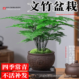 ���������҃��辰�Gֲ�͏d�����k��������Gֲ���B�ļ����������