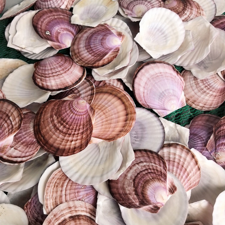 MTXX_20250420_122529889