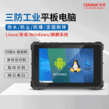 三防工业平板电脑10寸安卓win麒麟Linux超高频扫码描指纹4G网串口