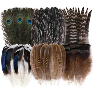M 62316 Amazon Hot Selling Pheasant Feathers ����C���J��β