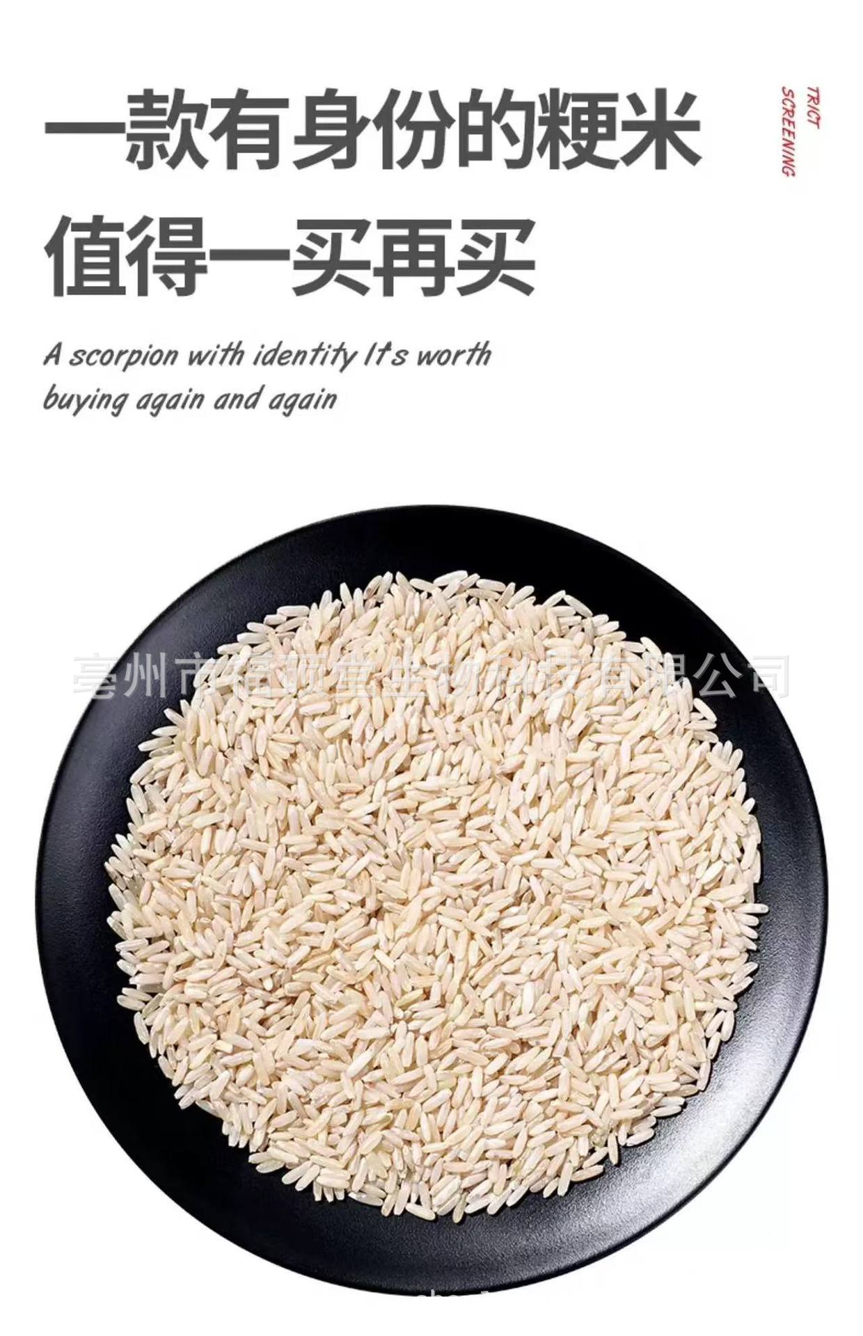 Japonica Rice (Oryza sativa) — Dried Food Grain for Congee & Daily Nourishment overview