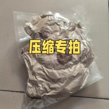 跨境爆款西高地牛跑跑熊猫公仔网红玩偶仿真萌猪抱枕儿童礼物