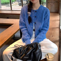 蓝色纽扣麻花针织毛衣开衫女装秋季2025新款宽松韩系显瘦长袖上衣