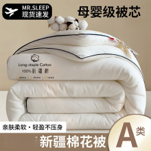 新疆棉花被春秋被子冬季加厚保暖棉花被芯单人宿舍冬被棉絮速卖通