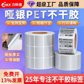 亚银标签纸油胶防水撕不烂PET不干胶标签电子器材亮白哑银龙贴纸