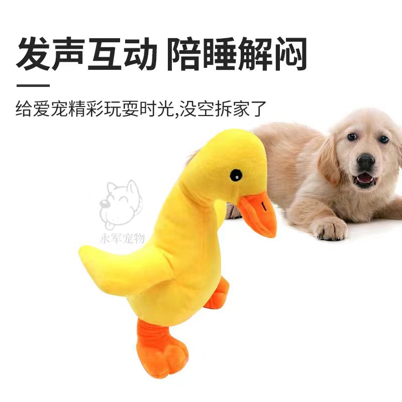 Mascota de peluche de juguete sonando perro amarillo pato dientes limpieza molar sonando perro de juguete suministros en stock al por mayor