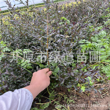 ���~ˮϞ����G�h��ľ�|�����~ˮϞ��������ˮϞ�򹤳̼�Ǥ����