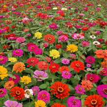 ղݻNļNվշNӲѻ^׷N_