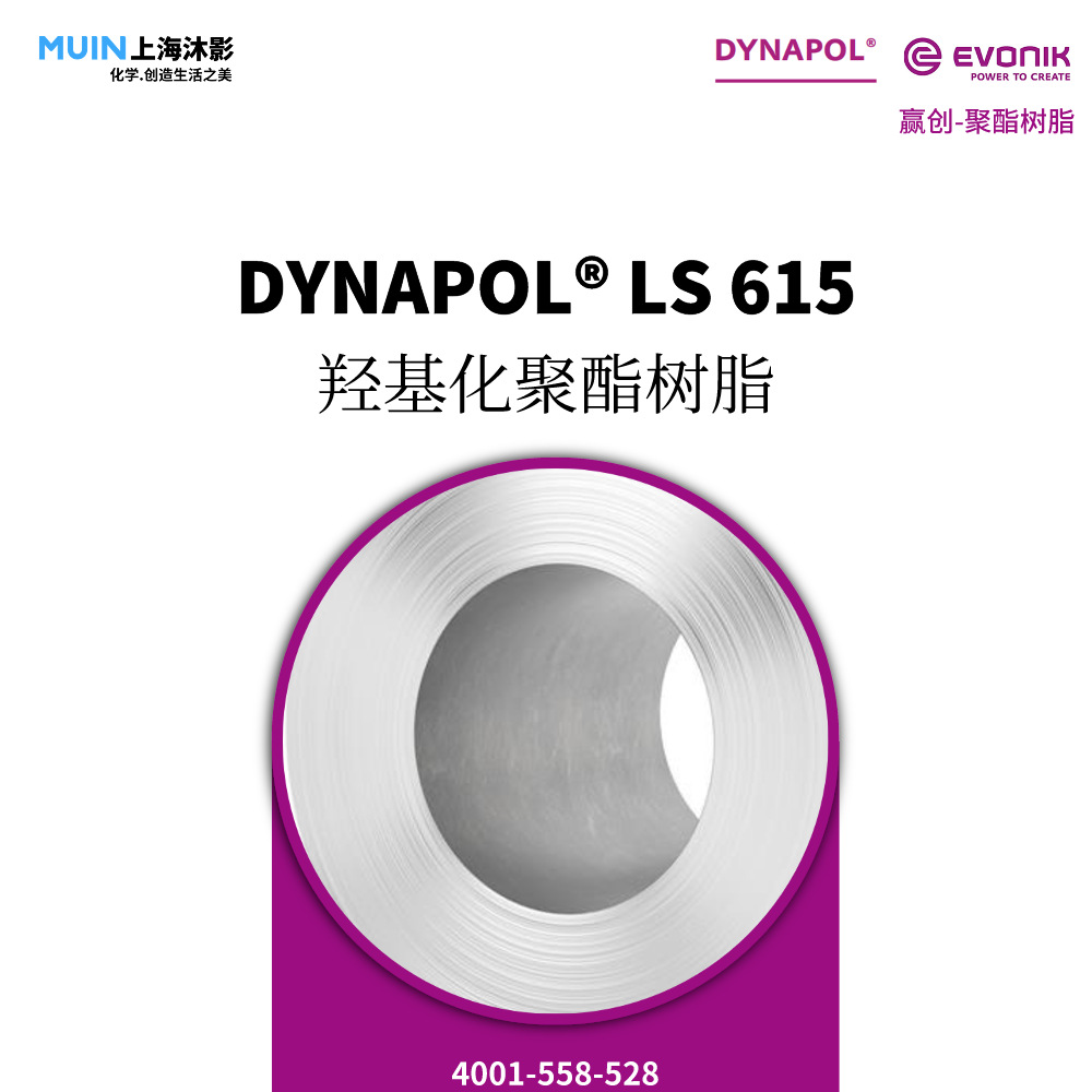 DYNAPOL LS 615 聚酯树脂 |赢创 高弹性 羟基化弹性聚酯树脂