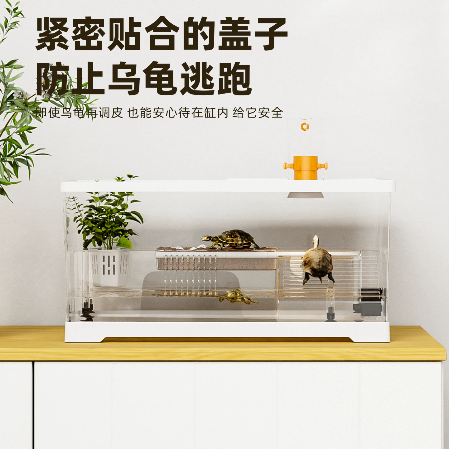 Специальный резервуар для домашнего разведения черепах, аквариум для черепах, резервуар для разведения черепах, небольшой экологический ландшафтный дизайн гостиной