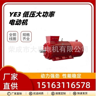 威海大泰电机低压大功率YE3-4002-2-400KW三相风机水泵压缩机电机