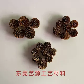 1kg圣诞松果小松花 落叶松礼盒装饰品干果节日礼品拍摄道具