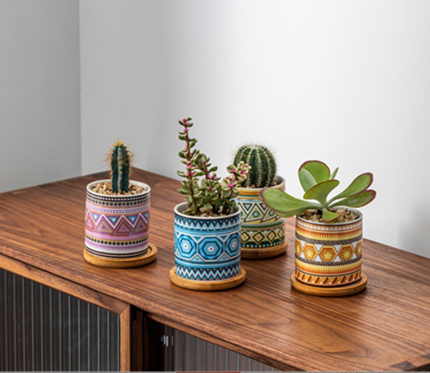 微信截图_20231128151839