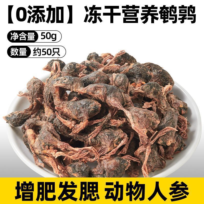 [살찌는 머리와 볼] 동결건조 메추라기 약 50개 [동물인삼 50g]