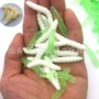 搞笑万圣节仿真新奇毛毛虫