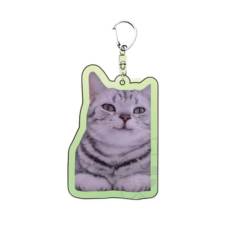 Acrylic cute keychain, backpack, pack, pendant for friend