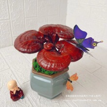 灵芝种植趣味灵芝盆景观赏灵芝盆景灵芝盆景创意趣味种植紫灵芝