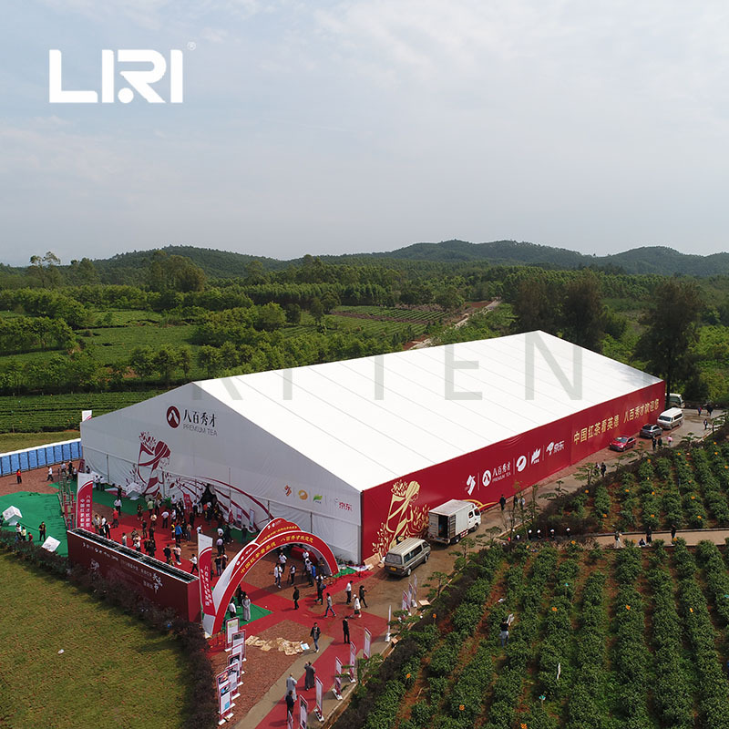 大型人字顶白色展览活动篷房 发布会篷房 防水 丽日帐篷厂家出售