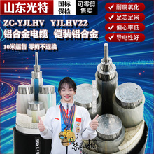 ������ȼZRC-YJLHV�X�Ͻ�25 35 70 95 185 400ƽ����|�������往