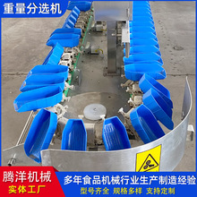 ȫ�Ԅ������Ϻз��x�C �ԄӰחl�Z���x�O��