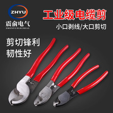 6��8����|�����|��S�����͏����ྀ�����w���Q��|�����Q��|�Q