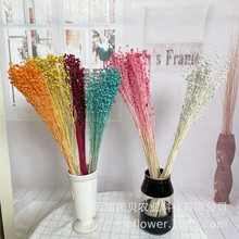 ����DIY�Y�в��� �Ҿ��b廨���F��  ������ɻ���˼���S�����l