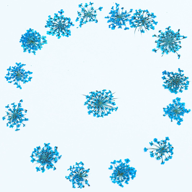 Японские разноцветные искусственные ногти ручной работы для маникюра, аксессуары, принт цветов, кружевное платье