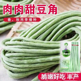 ���ⶹ��Ŵ����N���L���ǰ����L�����N��ԭ�b�߲˴�ȫ��Ʒ�N