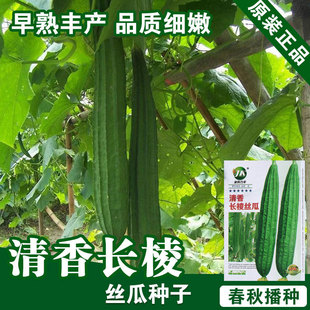 �z�ϷN�ӽz�����߲˷N�����l�˷N���Ѳ˷N�ӹ�˾�ļ����N