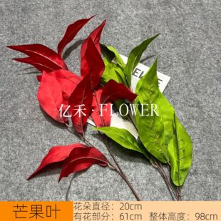 ����â���~ ��c�b�������d�~�� ��Y�õ�픻���·���b廨