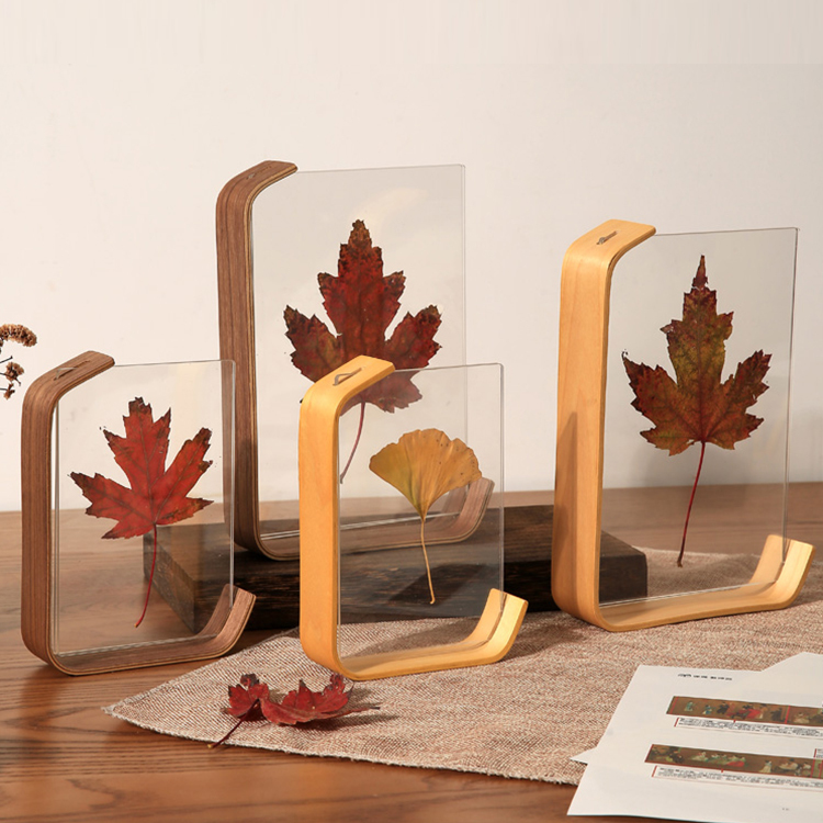 Plant Specimen Photo Frame Table Acrylic Picture Frame Framed Fallen Leaves Maple Leaves Embossed Hand-Painted DIY Display Frame