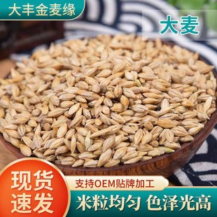 ���Ǝ����������r�����������s�Z�ּZȫ��������