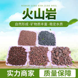 多肉专用土 多孔硬质火山岩兰花月季不含运费