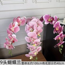 9�^�zƬ�����m����ٻ���c�Y�û���·���廨�b��û�ˇ����