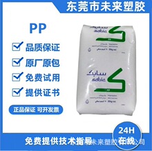 PP ɳ�����A  511P  ����PP �w�S���z ͸�� �߄���