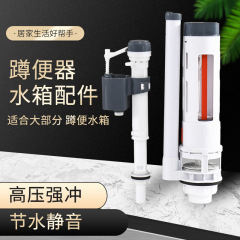 蹲便器挂墙式塑料水箱配件厕所便池蹲坑冲水器双按钮排水阀进水阀