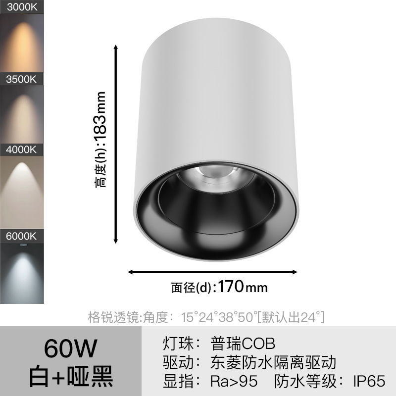 LED luz de techo impermeable al aire libre baño hogar baño techo tienda al aire libre cob luz de techo de techo