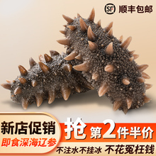 海參即食大連海參開袋鮮食遼參冷凍底播野生刺參真空獨立裝