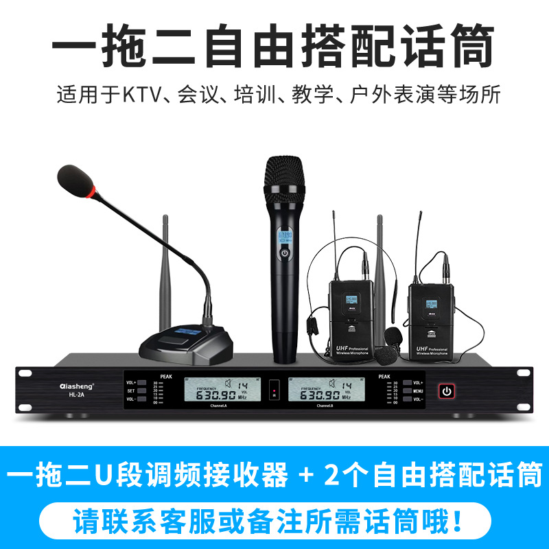 Micrófono inalámbrico TMD/Tengmandi de doble canal FM U-band Bluetooth para cantar, conferencias, KTV, verdadera diversidad