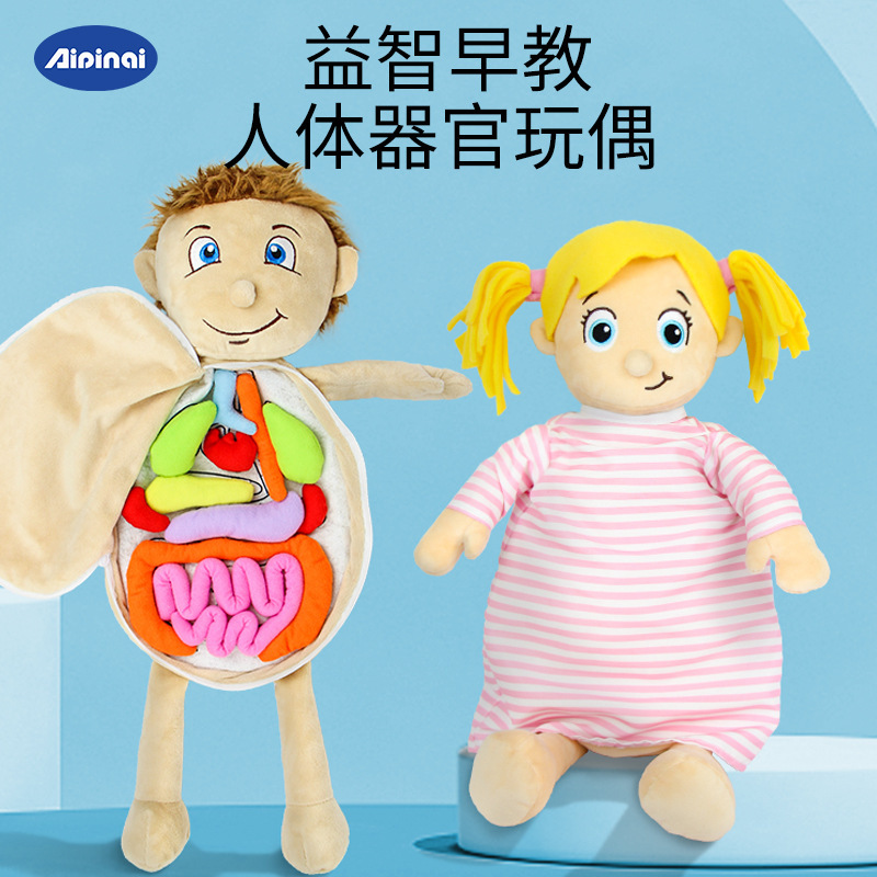 Cuerpo cognitivo de los niños órgano estructura corporal rompecabezas juguetes de educación temprana material didáctico para niños sosteniendo la muñeca órgano cognitivo