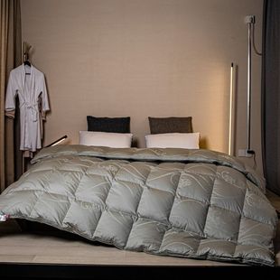Silk Jacquard Down Quilt 95 White Goose Down Quilt Core Single Double Spring and Autumn Quilt Duck Down Thickened Winter Bedding
