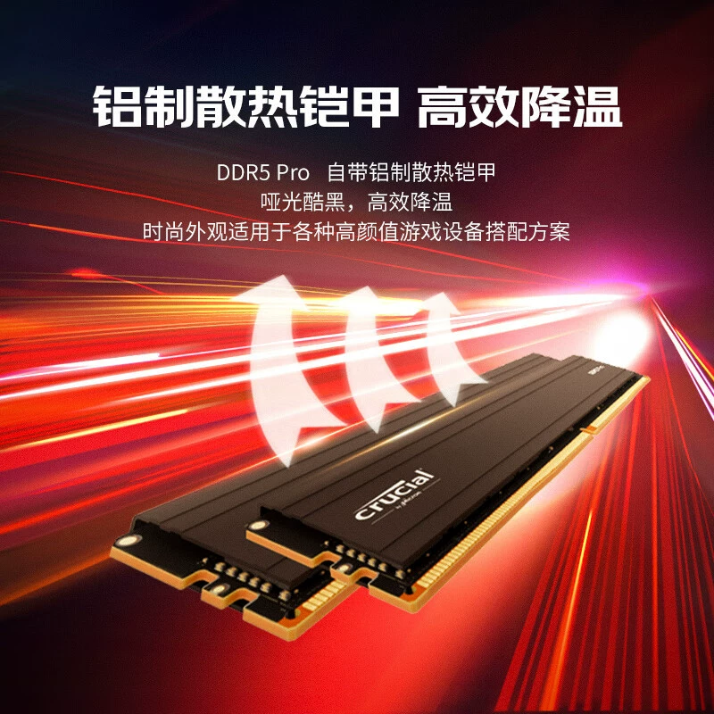 DDR5 ОЗУ (Crucial) DDR5 Pro, набор 32 ГБ (16 ГБ×2) — игровая память