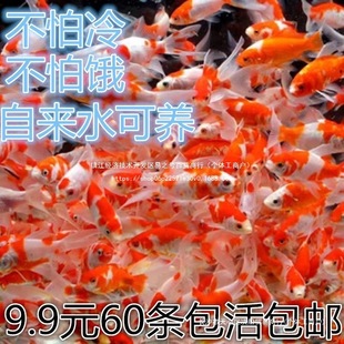 ��ˮ����BС�~�ͻ���~�^�p�~�t���\��С�͵�ˮ�^�p�~�~���~���