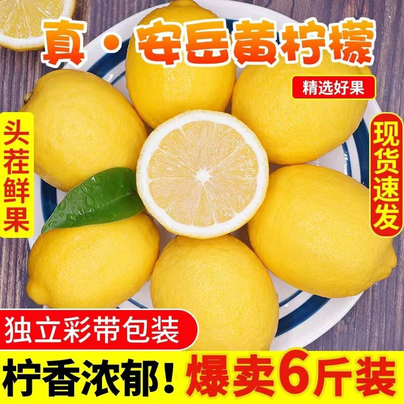 Sichuan Anyue Lemon Yellow Lemon Wholesale Direct from the Place of Origin, Suitable for Making Lemon Tea, Geographical Indication Lemon Tea, Direct Supply from the Place of Origin