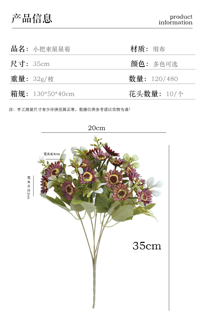 小把束星星菊_03.jpg