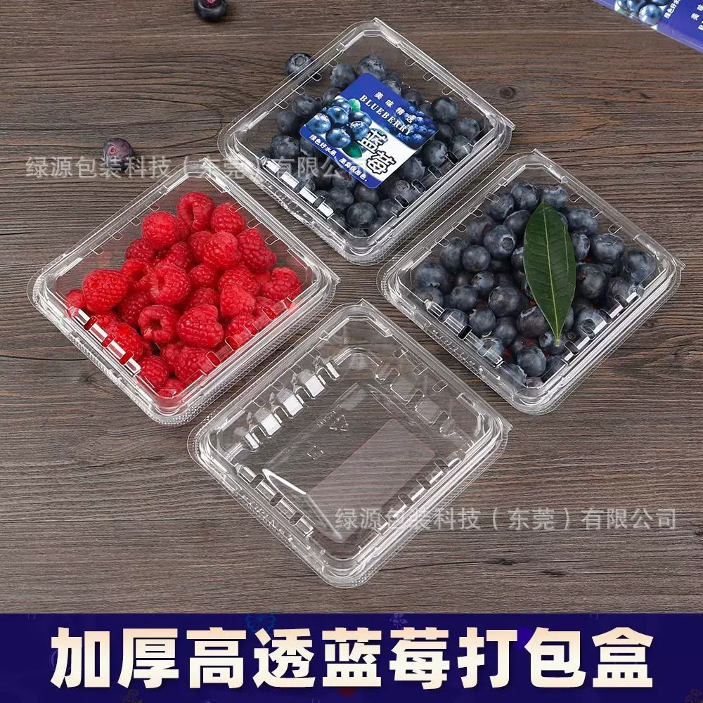 一次性透明树莓加厚超市打包盒250克装量工厂直销蓝莓盒