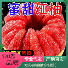【一件铺货】现摘红心柚蜜柚新鲜水果柚子对接电商直播产地直发